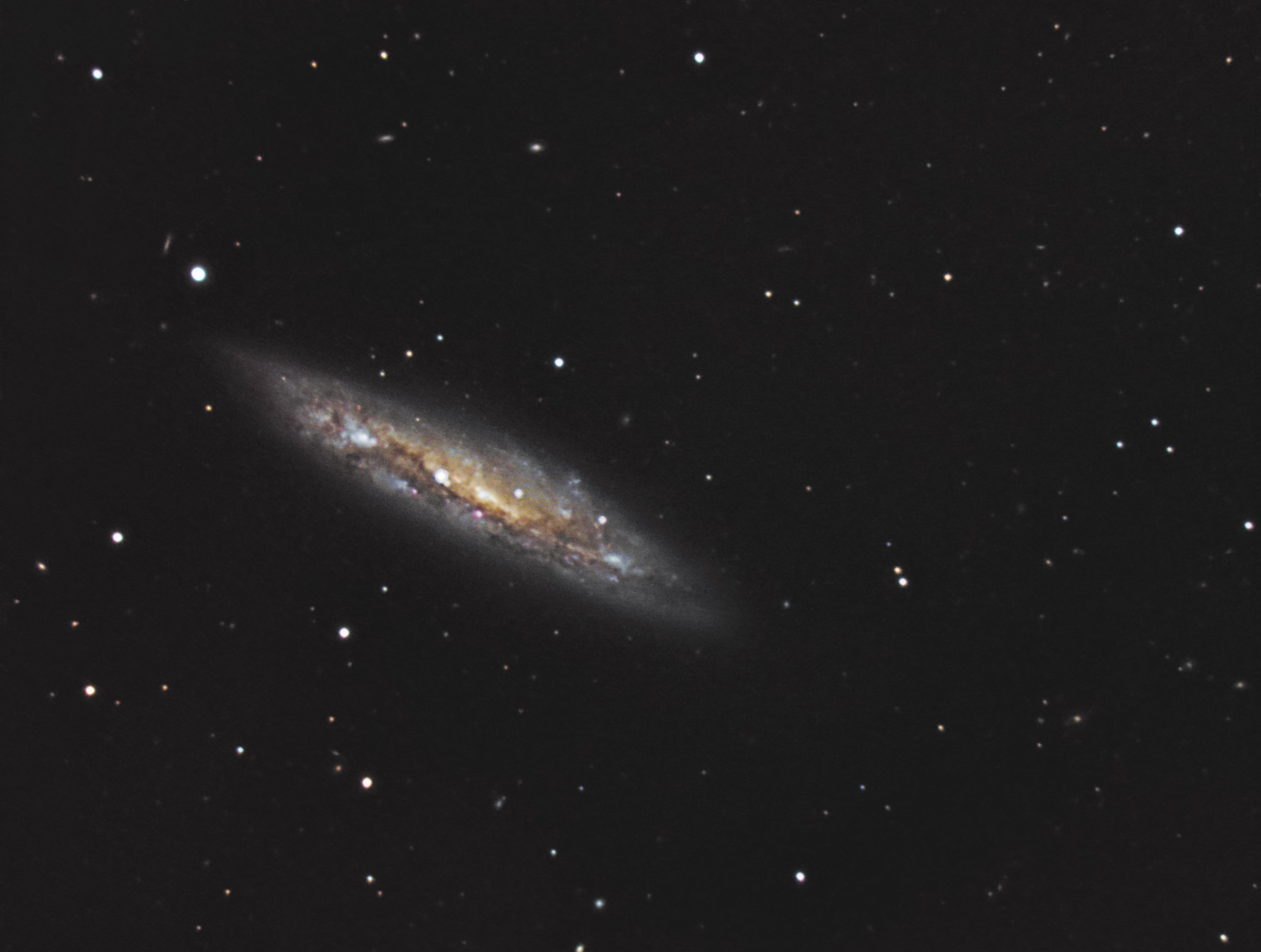 M108 - NGC3556