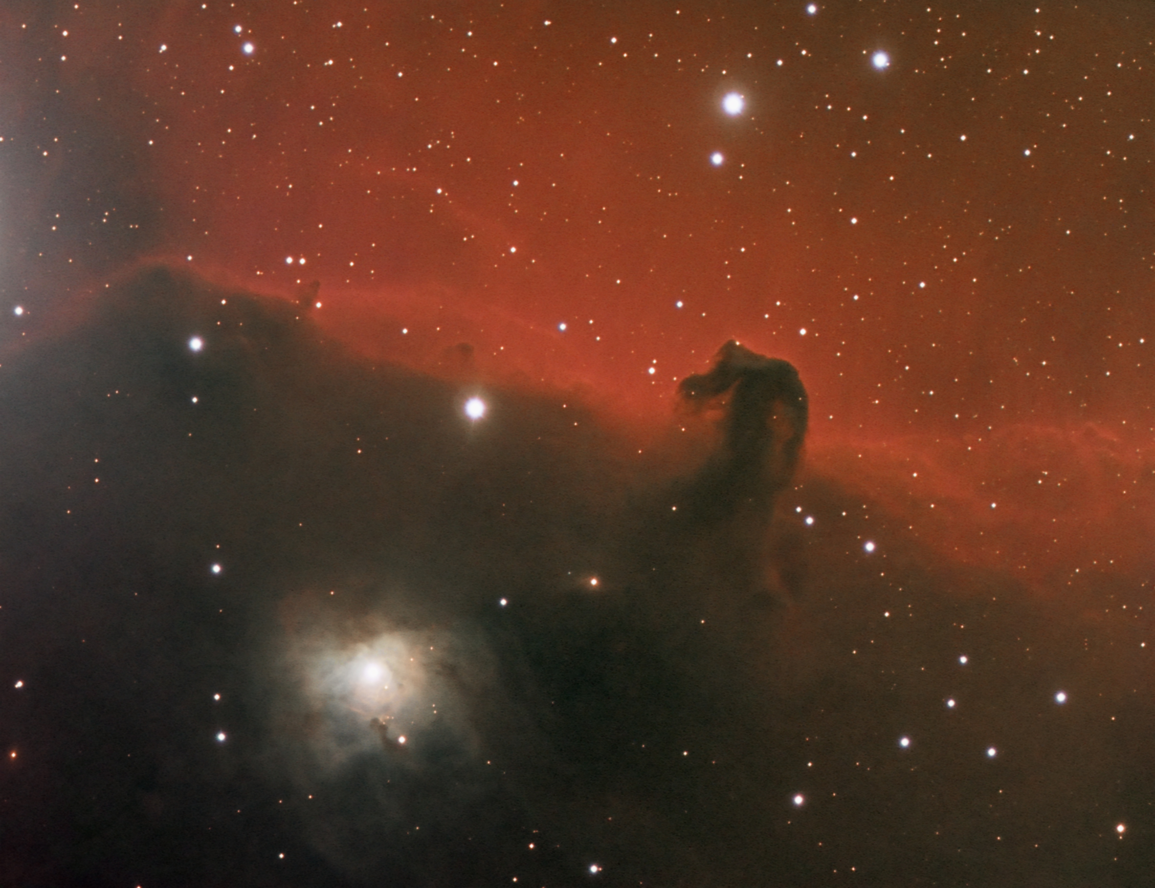 NGC2023 and Horse Head nebula