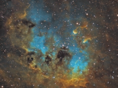 IC 410 and the tadpoles