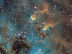 IC 410 and the tadpoles