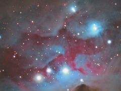 NGC1977